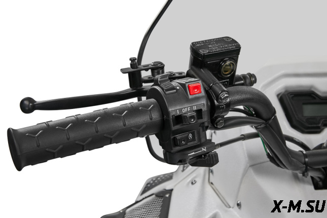 Снегоход IRBIS TUNGUS 600LE 25/26