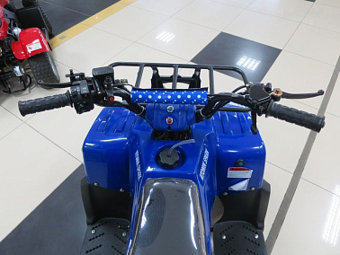 Квадроцикл ATV Atomik Spark