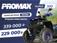 Квадроцикл PROMAX TAURUS 300