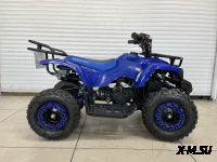 Квадроцикл MOTOLAND (МОТОЛЕНД) SCORPION 50 Б/У