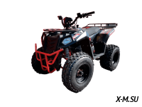 Квадроцикл ATV Commander 200