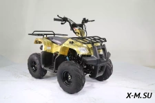 Квадроцикл MOTOLAND (МОТОЛЕНД) 110 RIDER