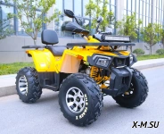 Квадроцикл MOTOLAND (МОТОЛЕНД) VOX200 WILD TRACK X PRO (баланс. вал)